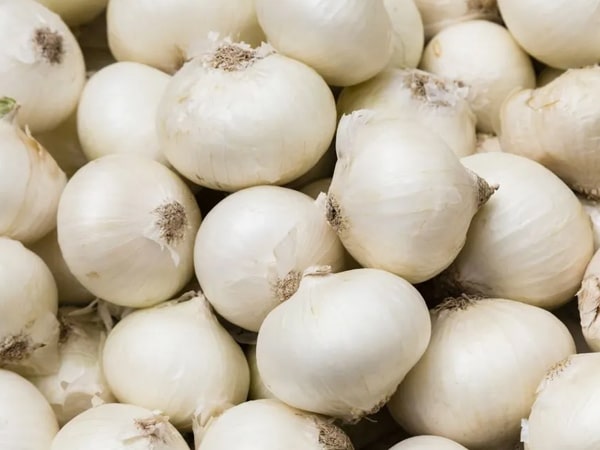 Fresh White Onion