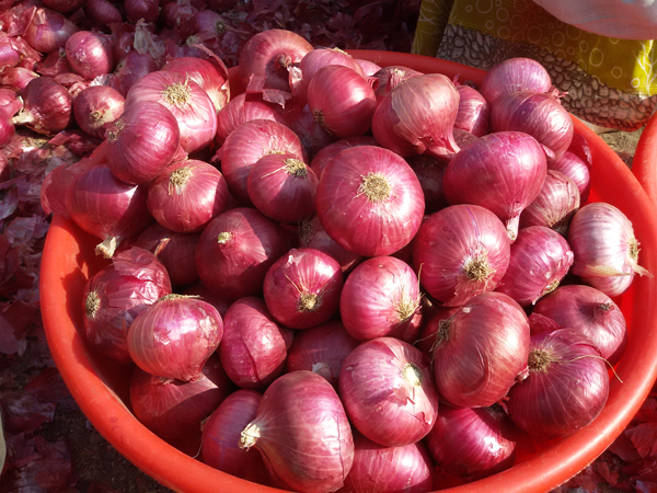 Fresh Red Onion